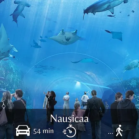 Apartamento Charmissime *