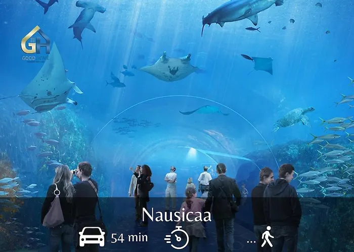 Appartement Charmissime *